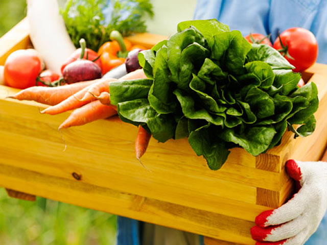 Por que consumir alimentos orgânicos? Conheça 6 motivos incríveis!