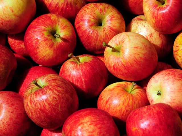 5 motivos para comer maçãs orgânicas
